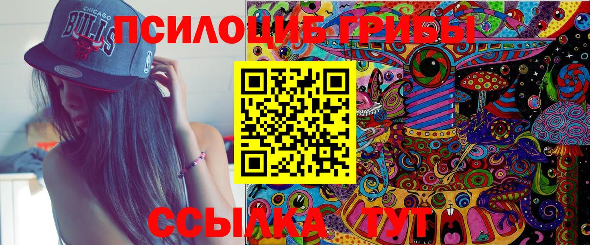 Галлюциногенные грибы Cubensis Тихорецк