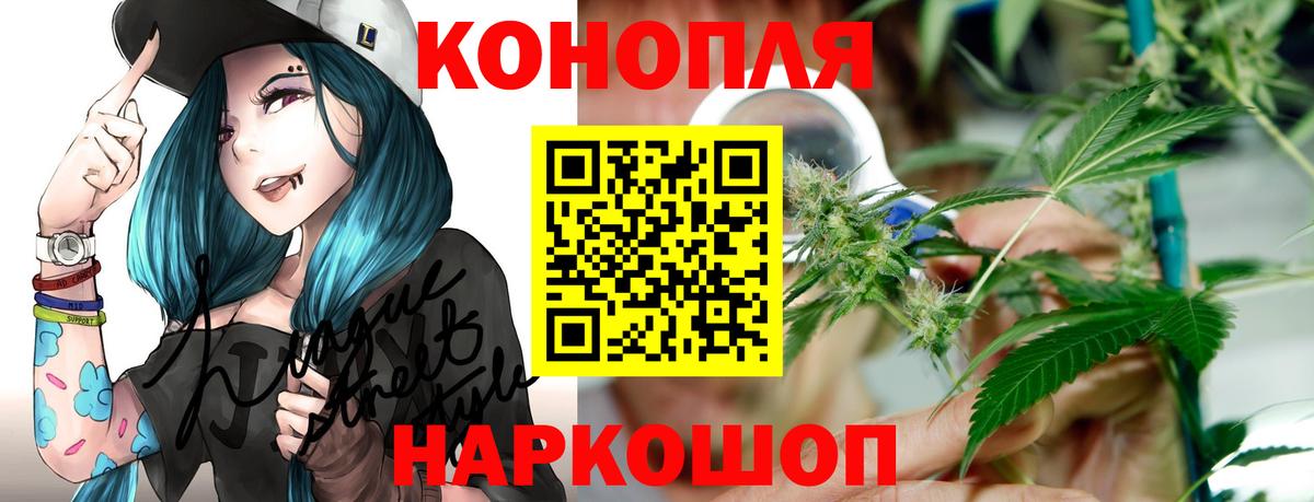 Бошки Шишки гибрид Тихорецк
